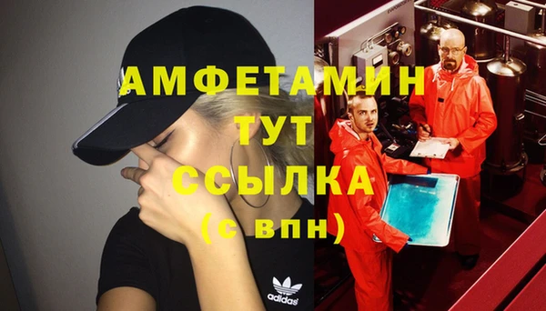 ECSTASY Алзамай