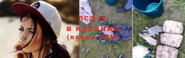 ECSTASY Алзамай