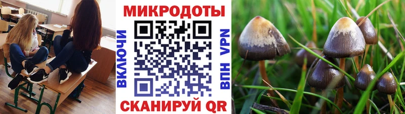 продажа наркотиков  Нелидово  Псилоцибиновые грибы Psilocybine cubensis 